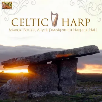 Celtic Harp by Margie Butler