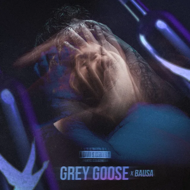 Grey Goose (feat. Bausa)