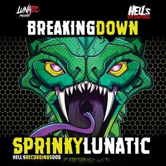 Breaking Down by Lunatic