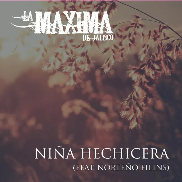 Niña Hechicera (feat. Norteño Filins)