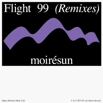 Flight 99 (moirésun Remix) by Please Wait