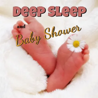 Deep Sleep and Baby Shower by Winter Sleep Music Academy