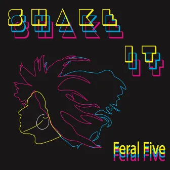 Shake It by Feral Five