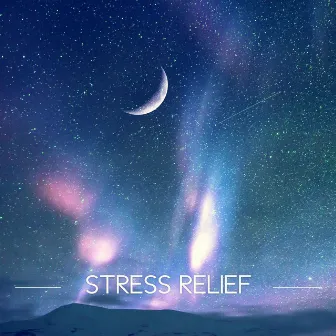 Stress Relief – Natural Sleep Aids for Sleep Disorders, Calming Music, Nature Sounds for Emotional Distress, Sleep Music with Rain Sounds & White Noise for Sleep Problems, Relaxing Music to Calm Down & Chill Out by Winter Night Music Universe