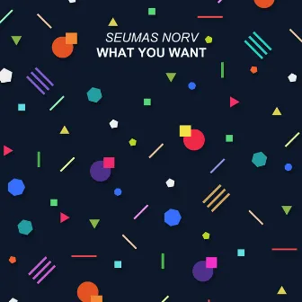 What You Want by Seumas Norv