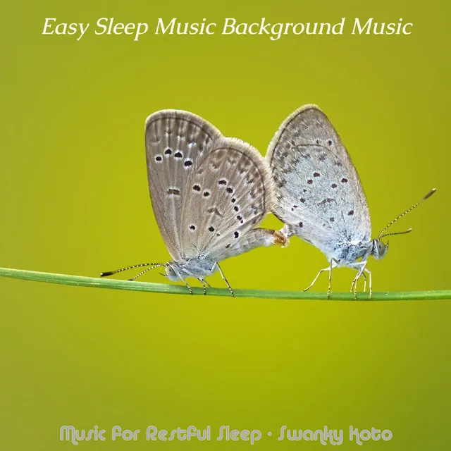 Music for Restful Sleep - Swanky Koto