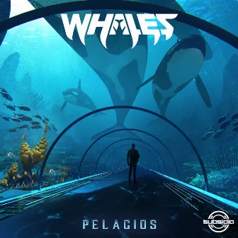 Pelagios by Whales