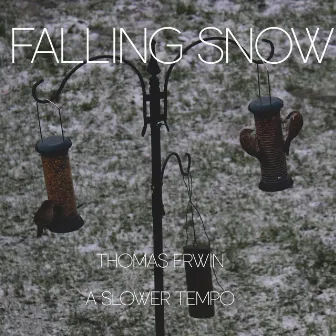 Falling Snow by Thomas Erwin