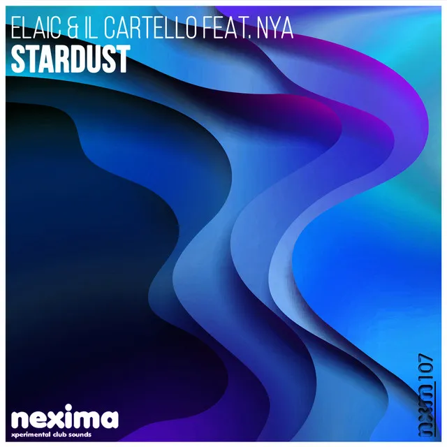 Stardust - Radio Edit