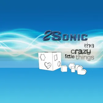 The Crazy Little Things by 2Sonic