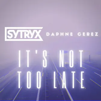 It's Not Too Late by Daphne Cerez