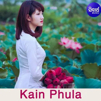 Kain Phula by uma