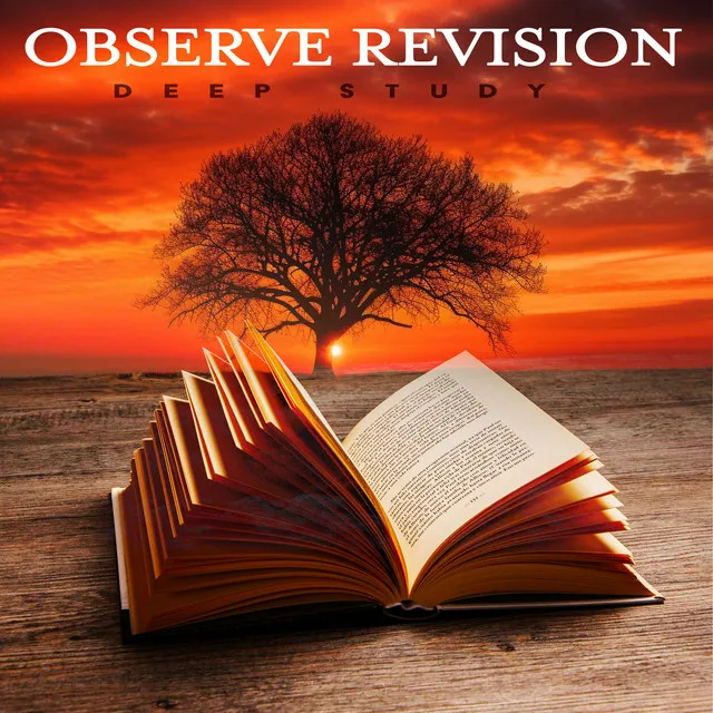 Observe Revision