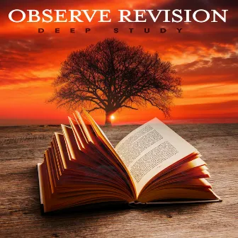 Observe Revision by Deep study