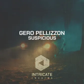 Suspicious by Gero Pellizzon