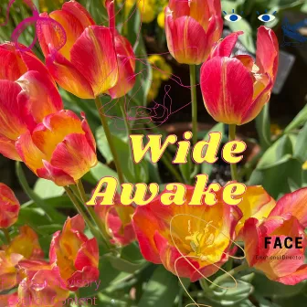 Wide Awake by She's Face