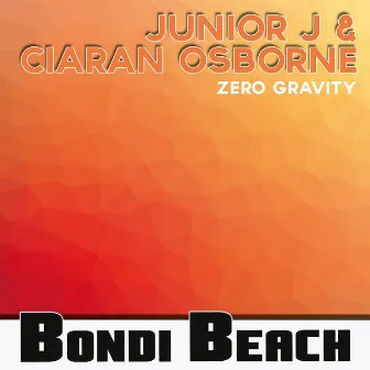 Zero Gravity by Unknown Artist