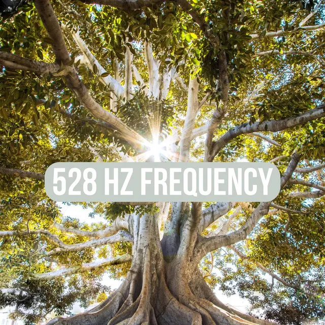 528 Hz Frequency