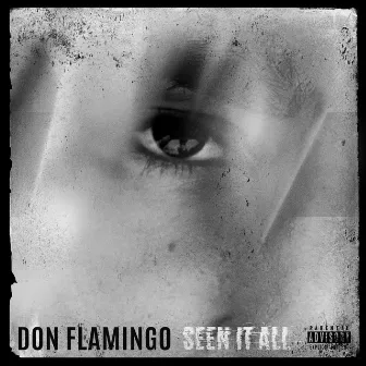 Seen It All by Don Flamingo