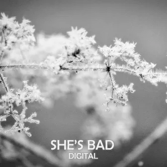 She's bad by Digital