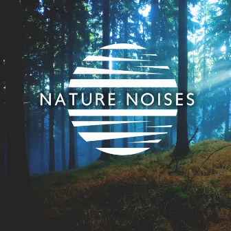 Nature Noises: ASMR Sounds, White Noises for Sleeping by Nature’s Temper