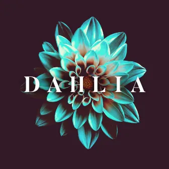 Dahlia by Leah Sanderson