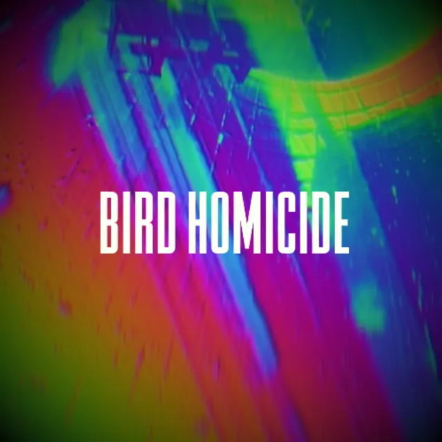 Bird Homicide