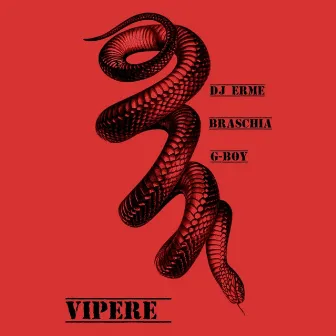 Vipere by Unknown Artist