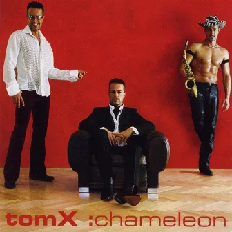 tomX:chameleon by tomX