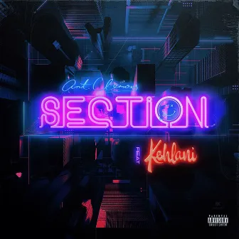 Section (feat. Kehlani) by Ant Clemons