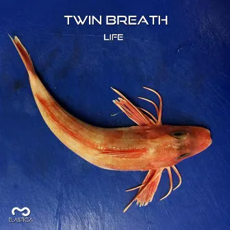 Life by Twin Breath