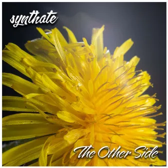 The Other Side by Synthate