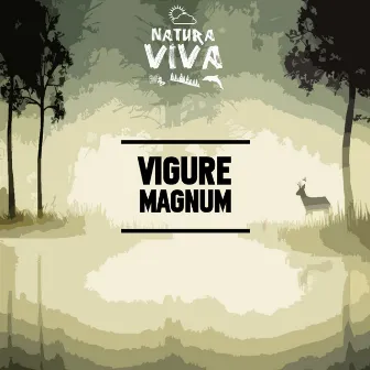 Magnum by Vigure