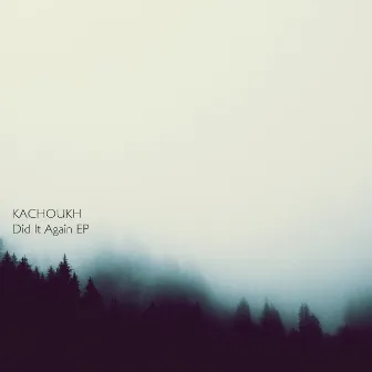 Did It Again EP by Unknown Artist