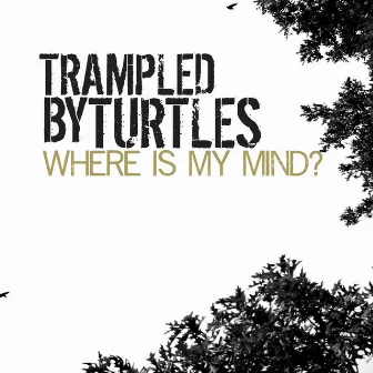 Where Is My Mind? by Trampled by Turtles