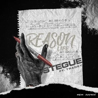 Reason Life by Stegue