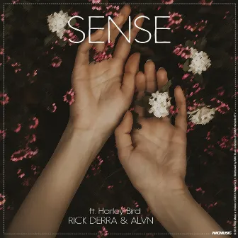 Sense by Rick Derra