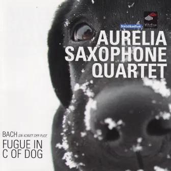 Bach: Fugue In C Of Dog by Aurelia Saxophone Quartet