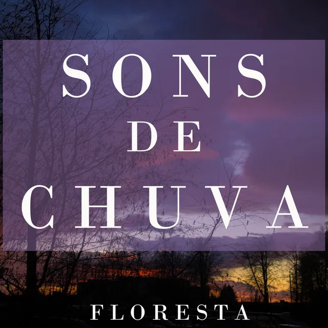 Sons de Chuva na Floresta