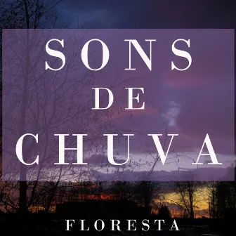 Sons de Chuva na Floresta by Som de Chuva e Trovões