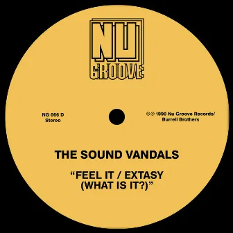 Feel It / Extasy (What Is It?) by The Sound Vandals