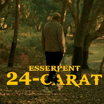 24-Carat by Esserpent