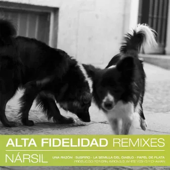 Alta Fidelidad (Remixes) by Nársil