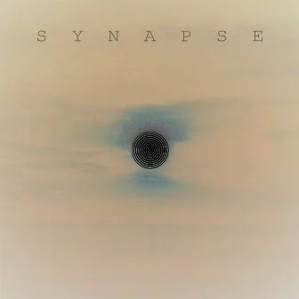 Synapse by Ricky Holes