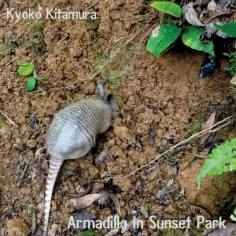 Armadillo in Sunset Park by Kyoko Kitamura