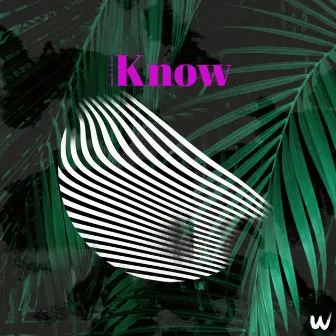 Already Know by Homie (RO)