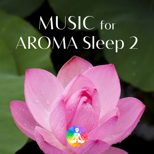 Music For AROMA2 Healing Waters NO.2