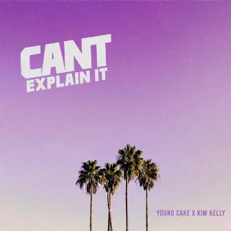 Can’t Explain It by Young Cake