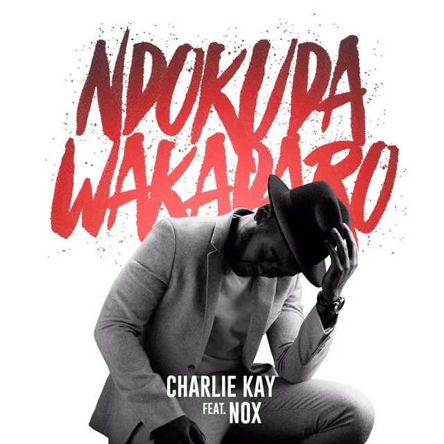 Ndokuda Wakadaro (feat. Nox)