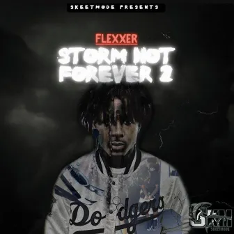 THE STORM NOT FOREVER 2 by Flexxer